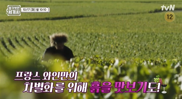  tvN <벌거벗은 세계사> 한 장면.
