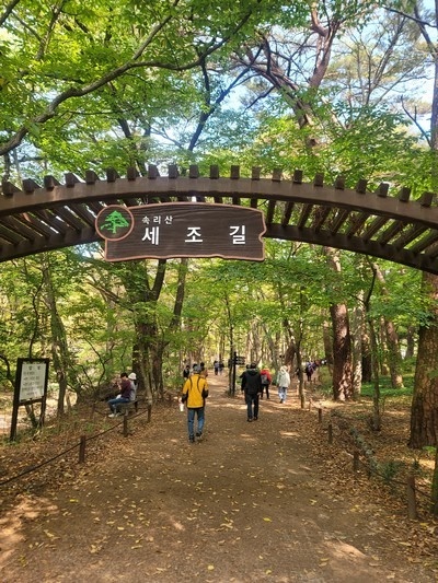 조선 초기 단종을 폐위 시키고 왕위에 오른 세조가 병마에 시달리자 벚주사를 찾았다 해서 붙여진 길 이름이다.