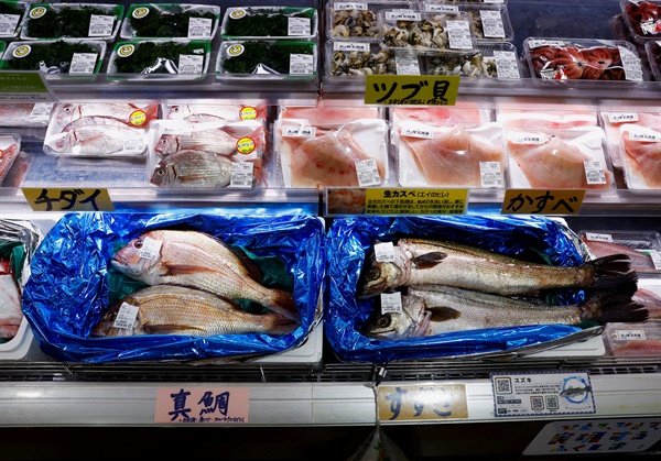 2023년 8월 31일 일본 후쿠시마현 소마에 있는 하마노에키 어시장과 푸드코트에서 현지에서 잡은 해산물이 진열되어 있는 모습. 