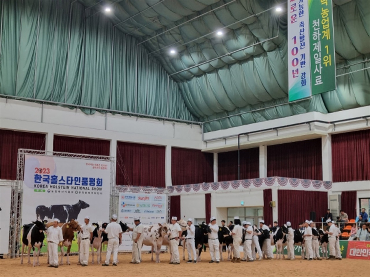 경기 여주시는 2023년 한국홀스타인품평회에서 대영목장이 젖소육종농가 최우수상을 수상하는 등 3개 농가가 13개 부문에서 상을 받았다