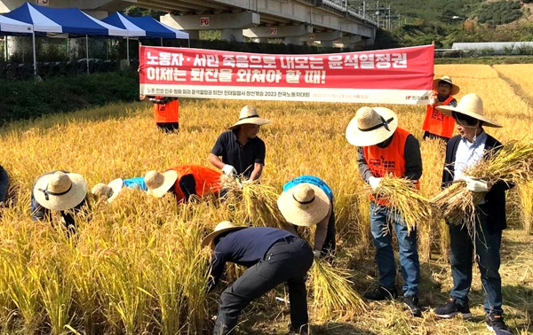 10월 27일 진주에서 열린 '통일쌀 추수 행사'.