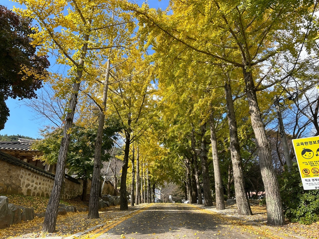 결성 동헌에는 단풍이 들면서 가을이 훌쩍 다가왔으며, 주변의 은행나무도 노란색으로 갈아입었다.