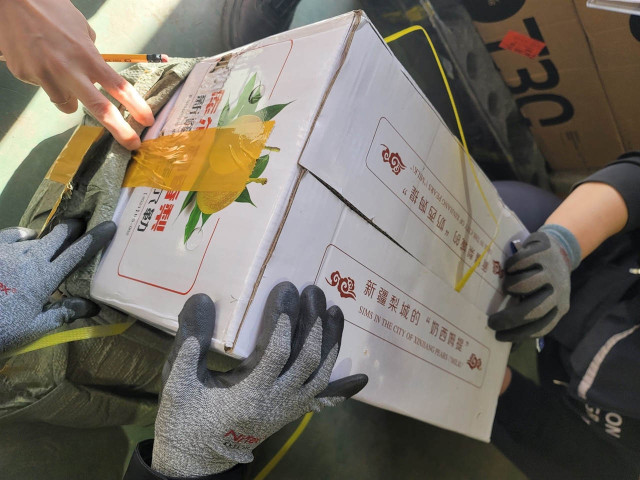 농림축산검역본부가 우편물·탁송품을 통해 국내로 반입되는 물품에 대한 검역을 실시하고 있다. 사진은 품목을 거짓 기재하여 불법수입을 시도하다 X-ray에서 검색된 탁송품.