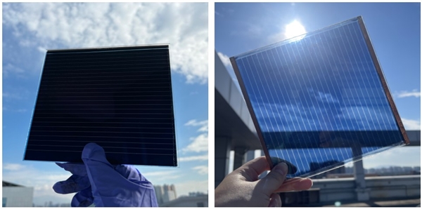 비할로겐 용매를 사용하여 제작한 대면적 유기 태양전지 불투명(좌), 투명(우) 모듈 대표 사진.