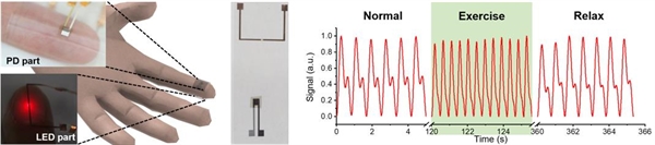 웨어러블 유연 맥박 센서의 구현 및 다양한 상황에서 측정된 맥박 신호
