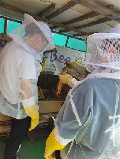 인천 동산고에서 꿀벌 생태동아리 '플랜Bee'를 이끌고 있는 장익섭 선생님이 학생들과 함께 학교 옥상에서 도시양봉을 하고 있다. 