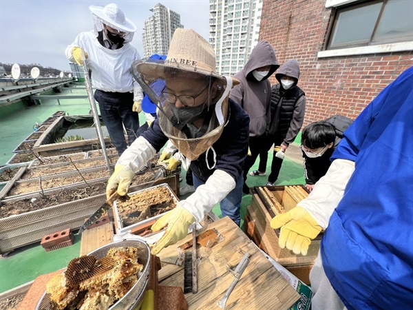 인천 동산고에서 꿀벌 생태동아리 '플랜Bee'를 이끌고 있는 장익섭 선생님이 학생들과 함께 학교 옥상에서 도시양봉을 하고 있다. 