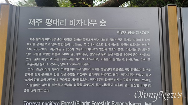 천연기념물 제374호인 제주 구좌읍 평대리 비자나무숲 안내표지판.