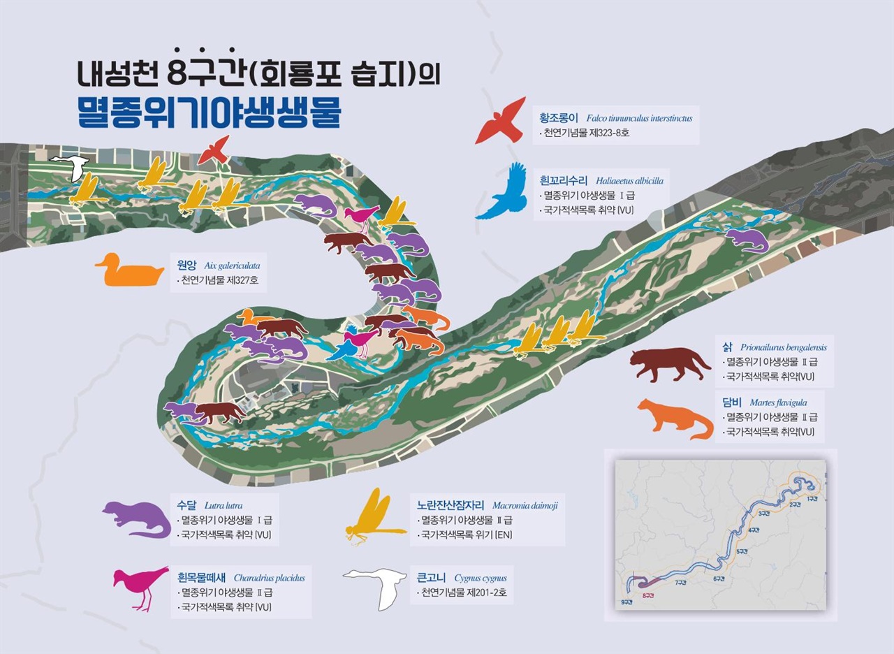 회룡포 구간에서는 법정보호종이 9종 조사됐다. 