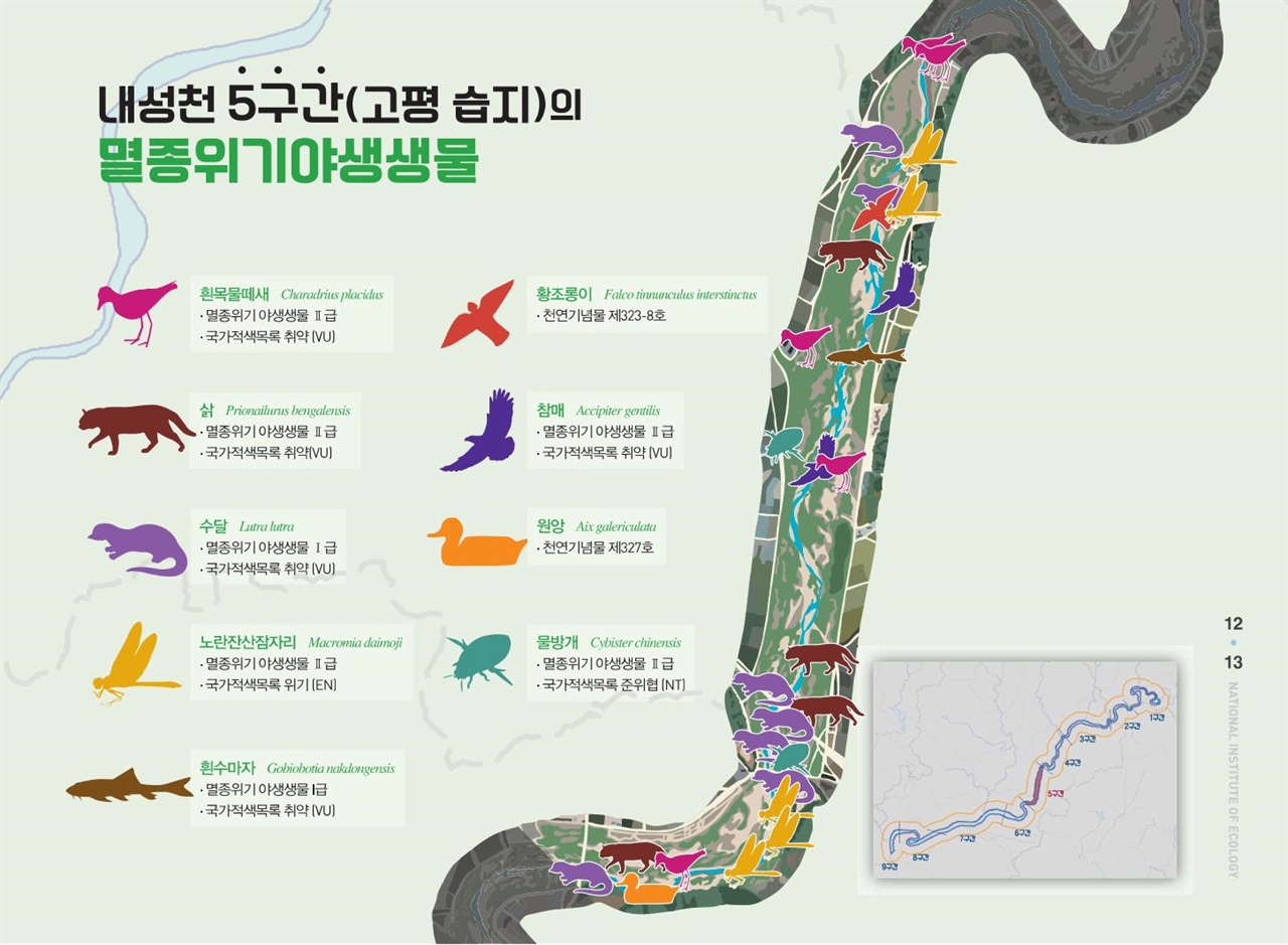 내성천 교평습지 구간도 법정보호종이 9종 조사됐다. 