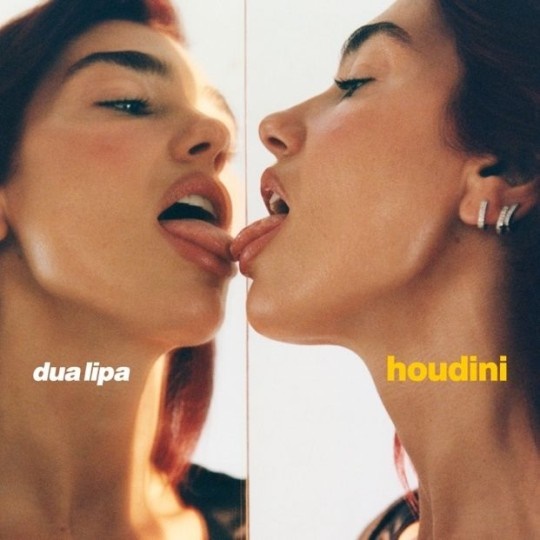  팝스타 두아 리파(Dua Lipa)의 신곡 'Houdini'