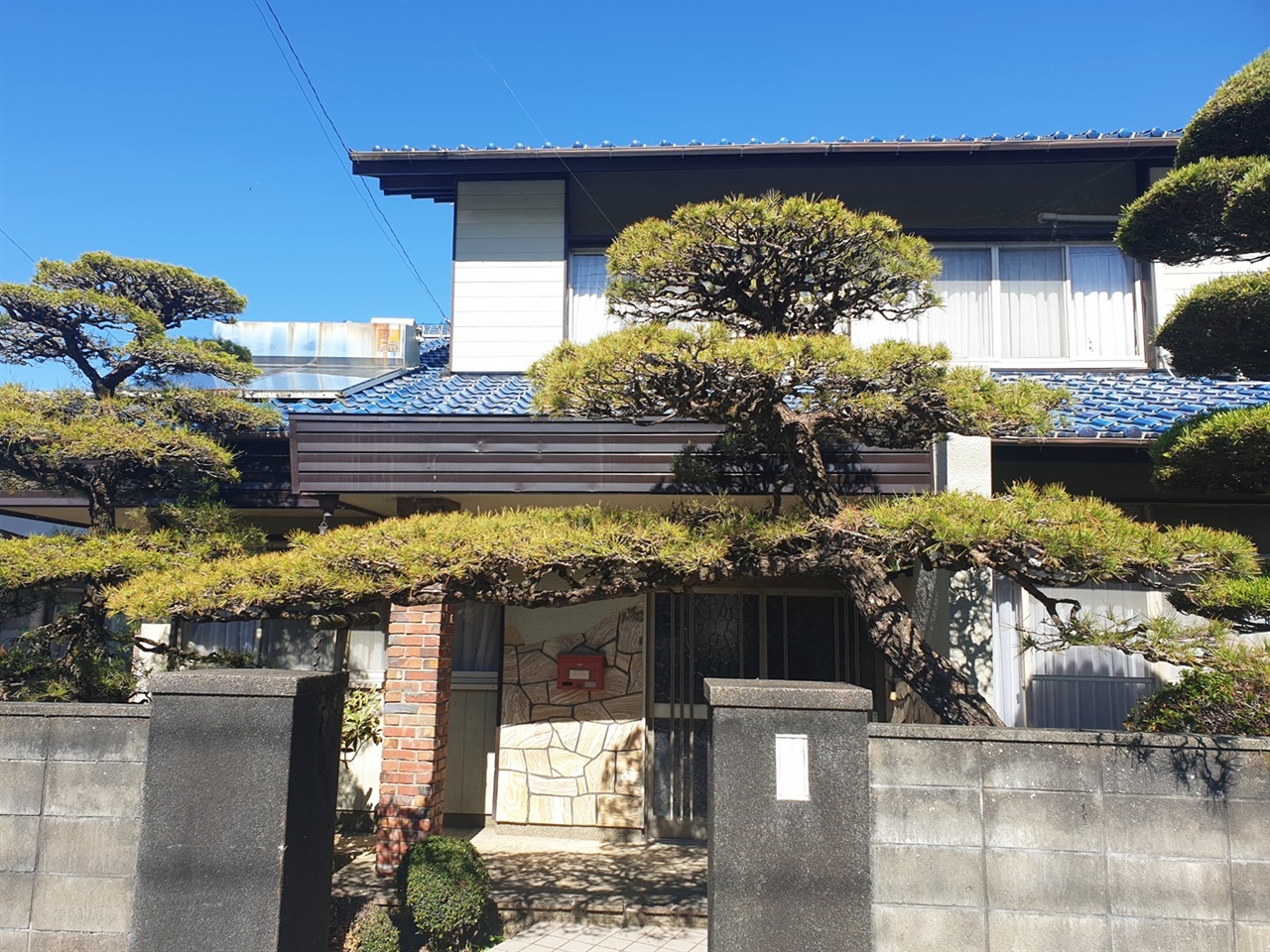일본식 정원에서는 문의 옆에 문관목을 심어 문 주위에 풍격을 주고, 배경인 주택과 조화시키는 궁리를 해왔죠.