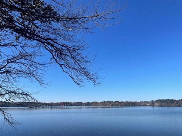 동네 호수의 둘레는 약 4km인데 달리기의 시작은 언제나 호수 언저리다. 계절에 따라 물색이 달리 보이는 것도 나에겐 그저 신기하다. 