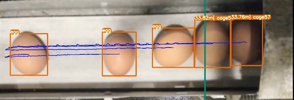 영상 기술 이용 달걀 형태 검출
