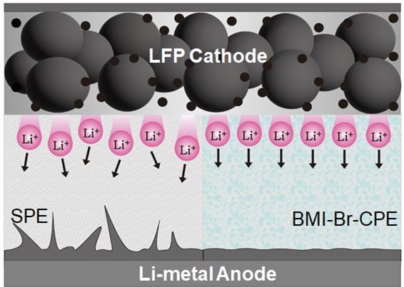기존의 고체 고분자 전해질(SPE)의 경우 PEO 매트릭스만으로 이동하여 느린 리튬 이온 이동 속도를 보이며 리튬 수지상의 성장을 억제하지 못함(왼쪽 그림). 고체가소제 기반 복합고체전해질(BMI-Br-CPE)의 경우 LiTFSI와 BMI-Br의 반응으로 형성된 BMI-TFSI와 LiBr로 인해 리튬 이온이 활발하게 이동하며 리튬 수지상의 성장을 억제하여 균일한 SEI층을 형성함(오른쪽 그림). // BMI-Br: 고체가소제(1-butyl-2,3-dimethylimidazolium bromide) / SPE:  고체 고분자 전해질 / BMI-Br-CPE: 고체가소제 기반 복합고체전해질 / SEI : 음극 표면의 고체막(Solid electrolyte interphase)