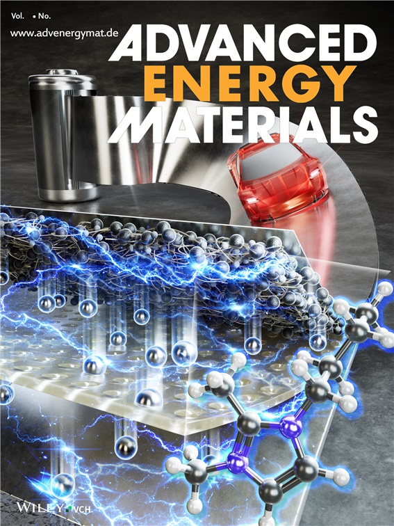 Advanced energy materials의 북커버 사진