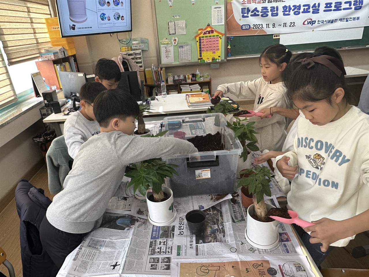 충남 태안군 태안읍 백화초 학생들이 공기 정화 식물을 만들고 있는 모습
