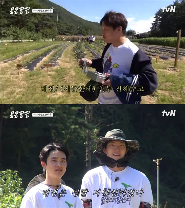  tvN '콩콩팥팥'의 한 장면