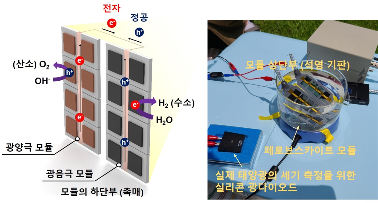 페로브스카이트 광전기화학 모듈 시스템의 모식도 (왼쪽)과 사진 (오른쪽). 실제 태양광 아래에서의 구동이 가능하며 단일 페로브스카이트 광전극 단위 소자에 비해 대면적에서의 태양광 수소 생산이 가능함을 확인할 수 있다.