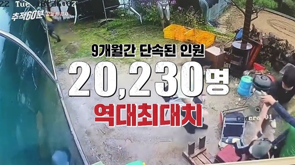  KBS 2TV <추적 60분> 한 장면.