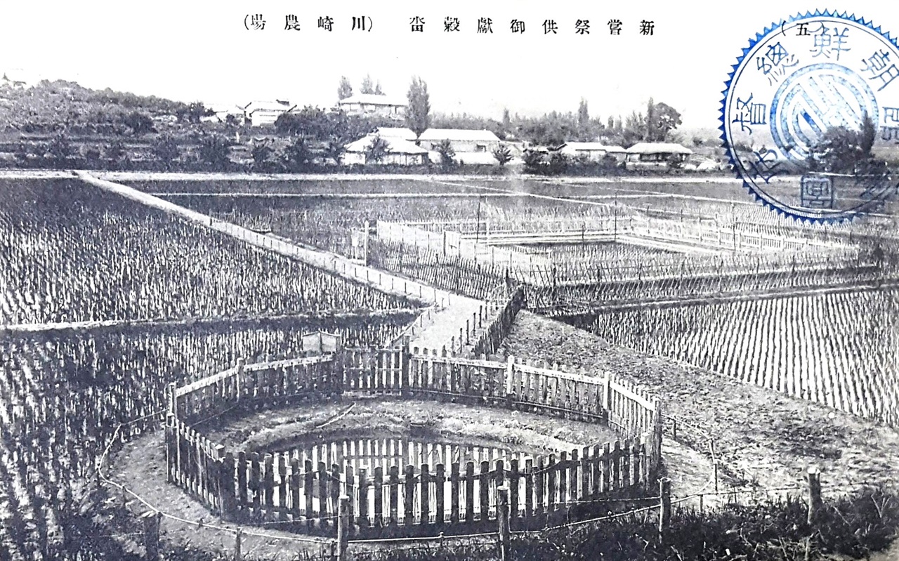 가와사키농장 신상제 헌곡답 모습(1914)
