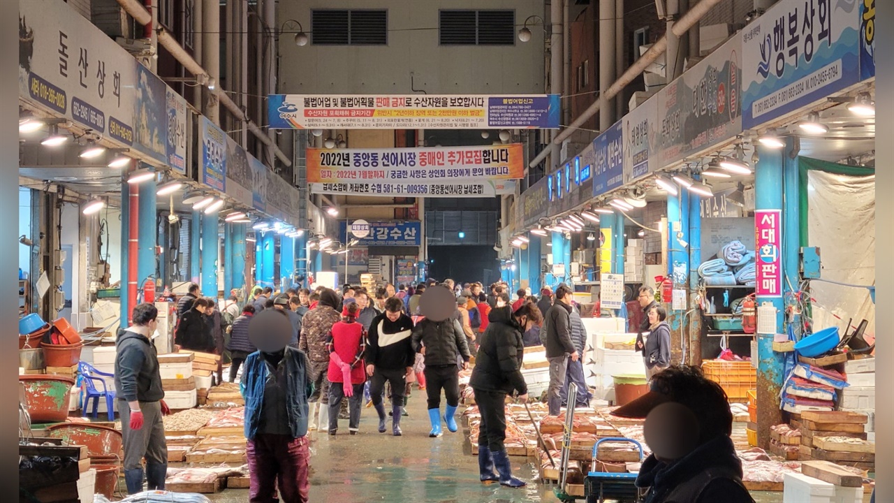 9일 새벽 1시, 중앙선어시장에서 새벽을 여는 수산인들의 모습이다.