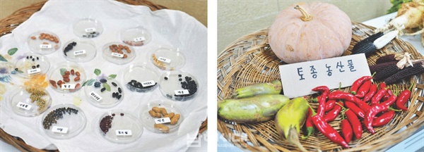 토종씨앗 축제에 남해군 전역에서 수집한 토종씨앗과 토종 농산물이 전시됐다.