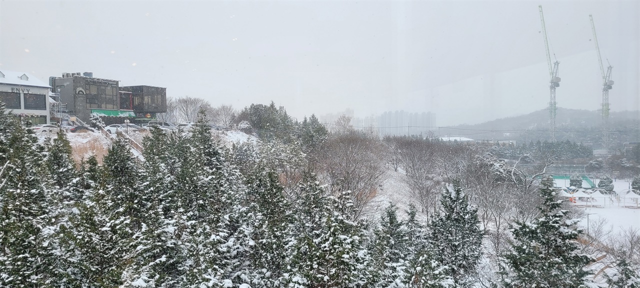 눈이 내려 하얗게 덮여 있는 군산 은파 유원지의 모습.