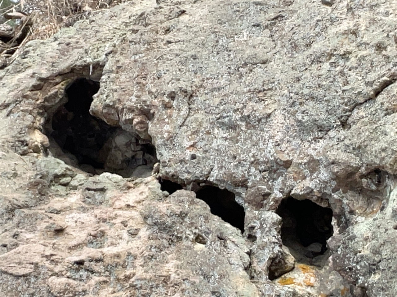 진안 쌍벽루 절벽의 역암 동굴 형상 타포니