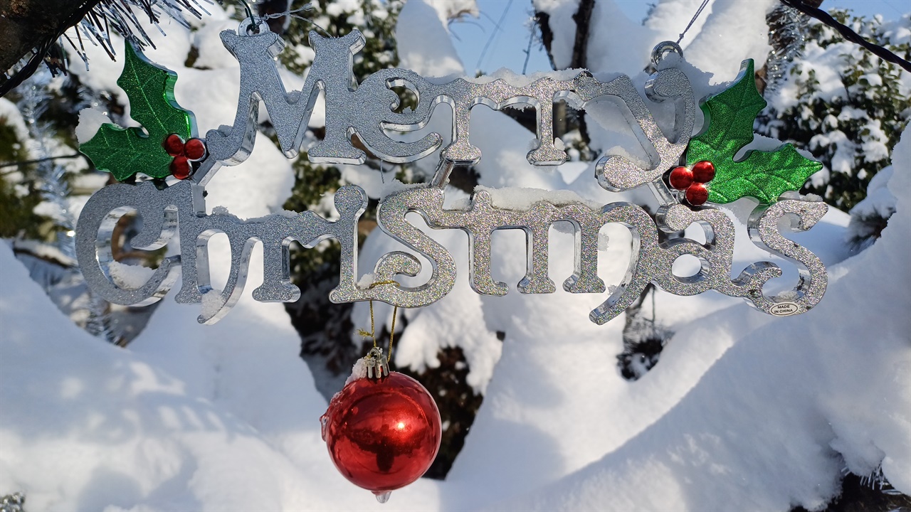 메리 크리스마스. 하얀 눈이 소복히 내린 나주성당의 나무에 걸려 있다.