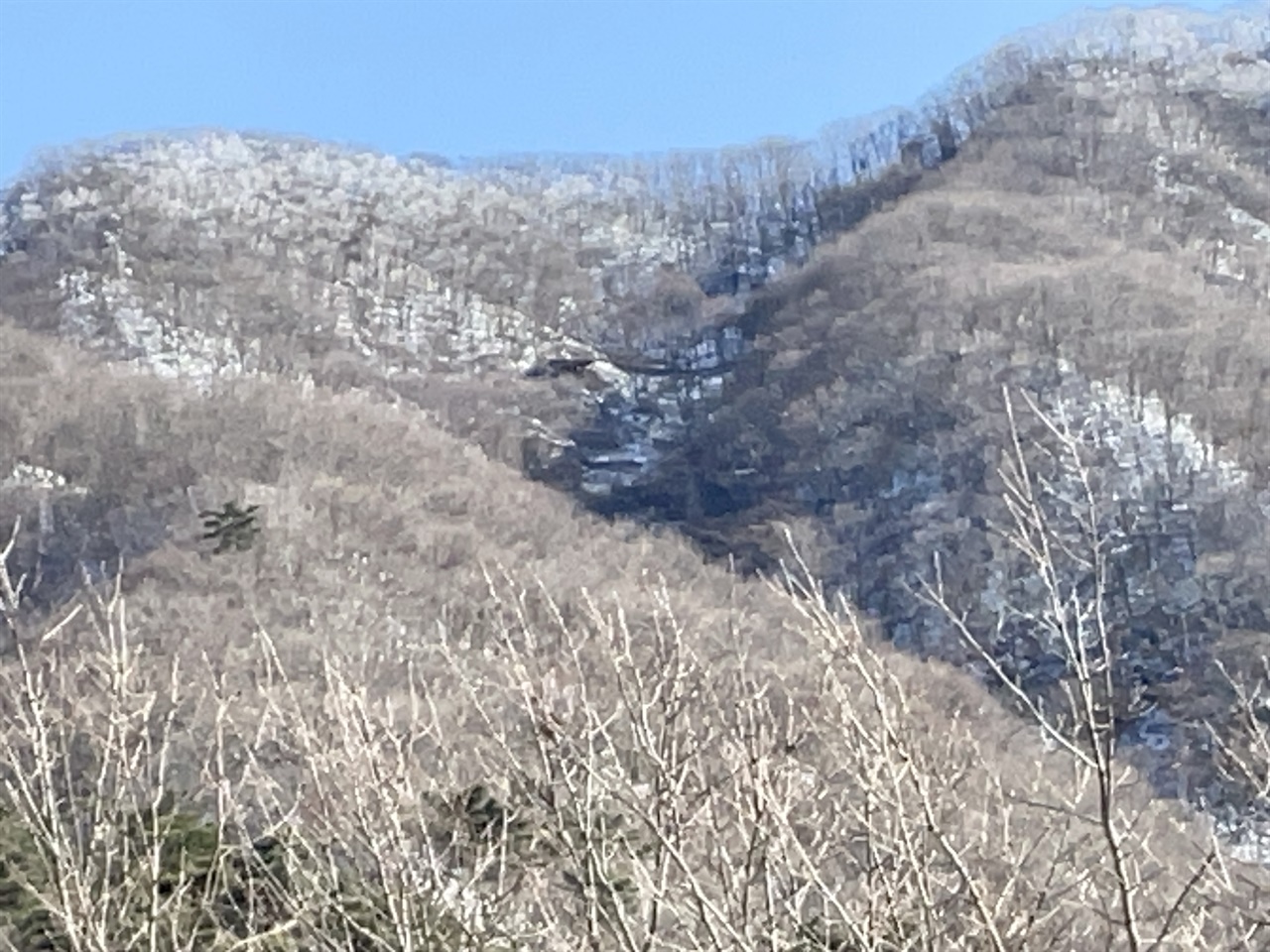  성수산 삼청동 태조 기도터 원경