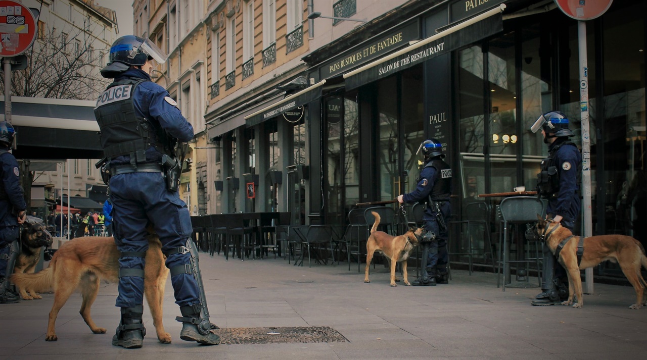 잘 훈련 받은 경찰견이 업무를 보고 있는 모습, 소위 '특수목적견'이라 불리우는 개들이다.