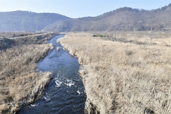 산과 강이 연결된 생태적 온전성이 살아있는 영천 금호강 습지. 