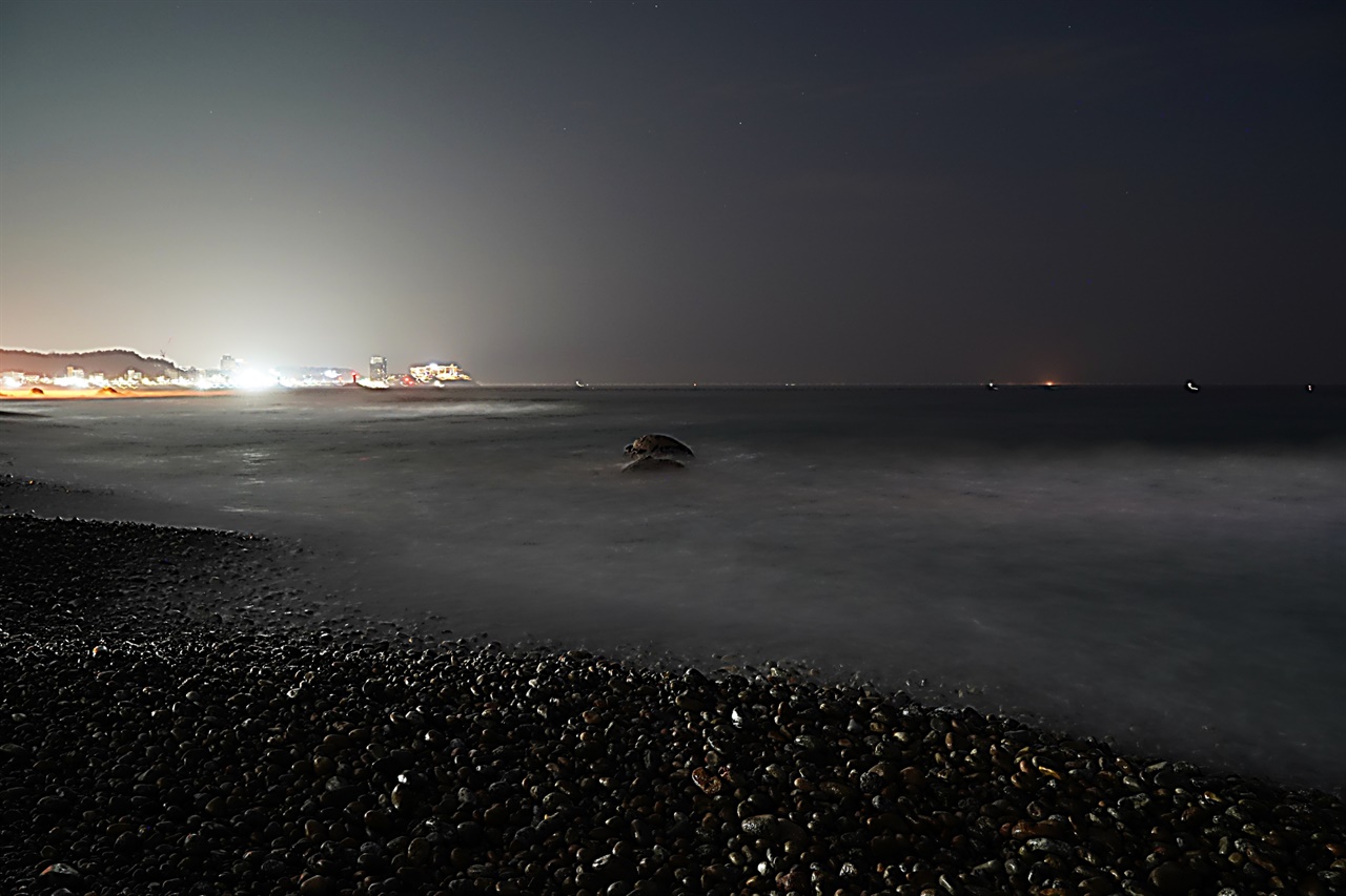 낙산코레일 연수원 앞 바다 28일 새벽 풍경