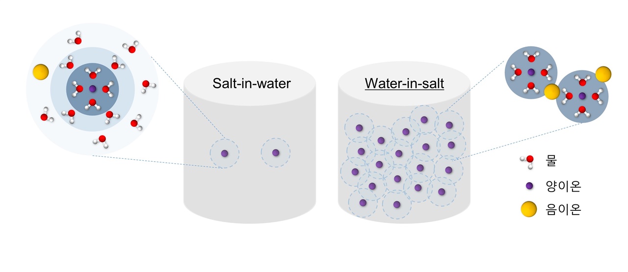 [그림 1] (좌) 묽은 수계 전해질(salt-in-water) 및 (우) 초고농도 수계 전해질(water-in-salt)의 수화구조. 묽은 용액에서 이온은 물분자에 의해 양이온과 음이온으로 분리되어 존재하지만, 초고농도 용액에서 이온은 물분자의 양이 부족해 ion-ion간 강한 상호작용을 할 수 있으며 물분자의 원치 않는 반응성을 억제할 수 있음.