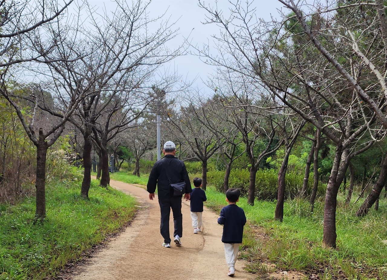은퇴 후 건강이 중요하다. 쌍둥이 손자들과 걷는 남편의 뒷모습. 