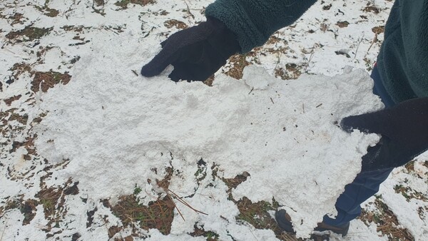 지난 4일 제주도청 신문고에 올라온 사진. 제주시 연동 상여오름 정상 부근에 흰 알갱이가 눈처럼 쌓여 있다.