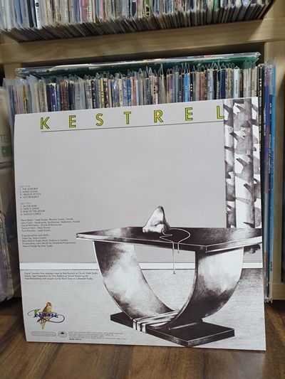영국 밴드 Kestrel 음반 뒷면 영국 록 밴드 Kestrel의 동명 데뷔 음반 뒷면에는 커피 테이블에 새 부리 마스크가 덩그러니 놓여 있다.