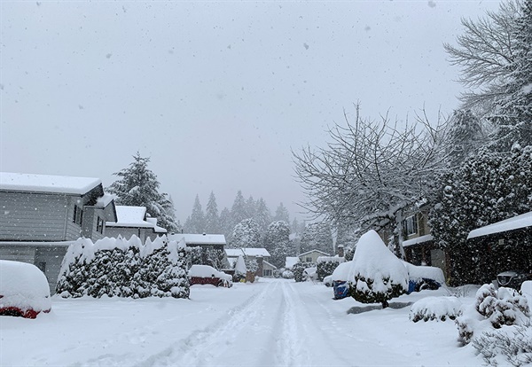 눈이 뒤덮인 마을