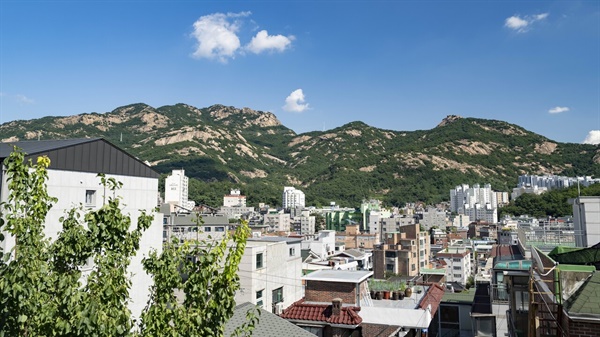 서울 은평구 불광2동주택조합