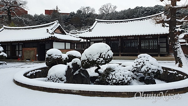  양림역사문화마을 이장우 가옥, 마당에 들어앉은 연못. 연못에 가까이 다가가면 안쪽에 거대한 돌거북이 엎드려 있는 걸 볼 수 있다. 연못 너머로 사랑채가 보인다.