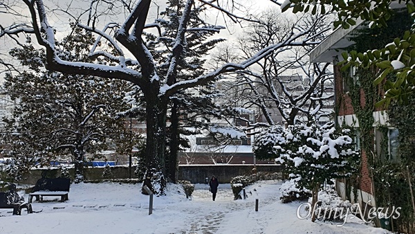  양림역사문화마을, 우일선 선교사사택 주변의 나무들. 왼쪽에 보이는 검은 몸통의 거목이 흑호두나무다.