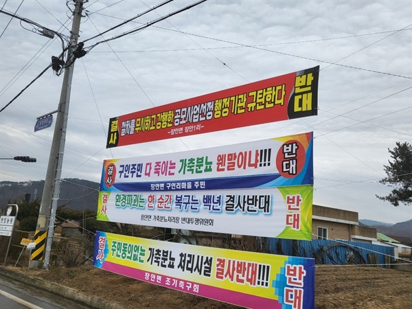  현재 보은군 장안면 일대에는 가축분뇨 처리시설 설치를 반대하는 현수막이 걸려 있다.(보은군 주민 제공)