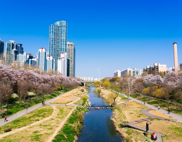 지난해 봄 서울 양재천의 모습. 사진상 오른쪽 구역이 서울 강남을 지역구이고, 왼쪽은 강남병 지역구다.