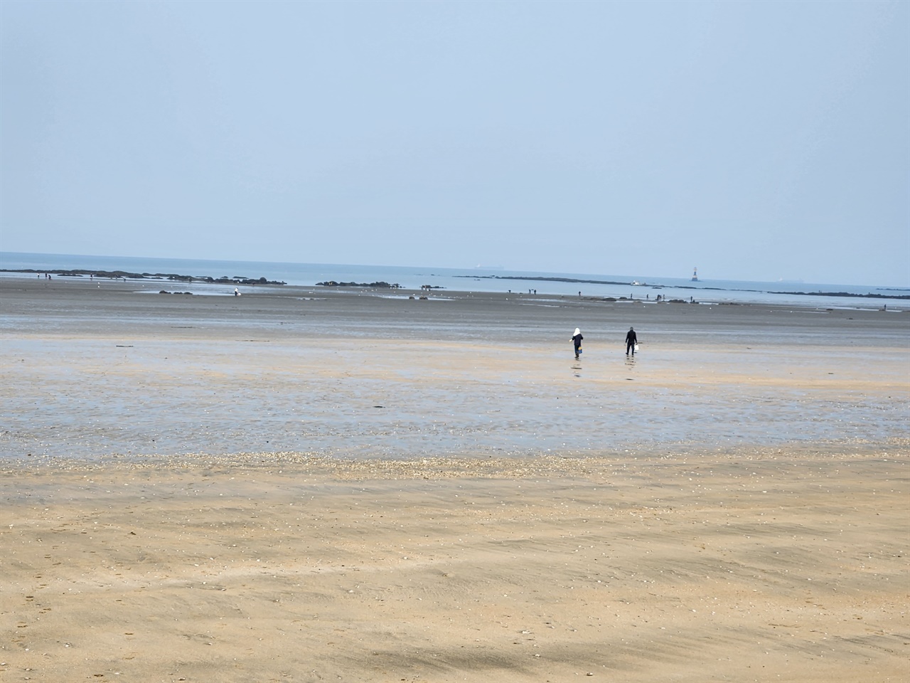 설 연휴 기간인 지난 11일. 독산 해수욕장 해루질을 하고 있는 여행객들의 모습이다.  