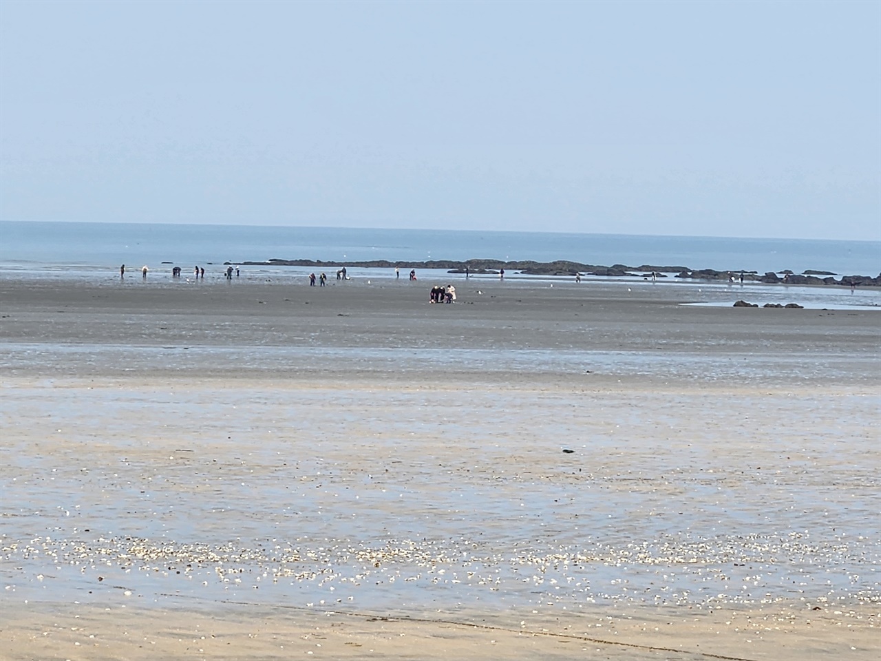 지난 11일 충남 보령시 독산해수욕장. 여행객들이 바다에서 해루질을 하고 있다. 