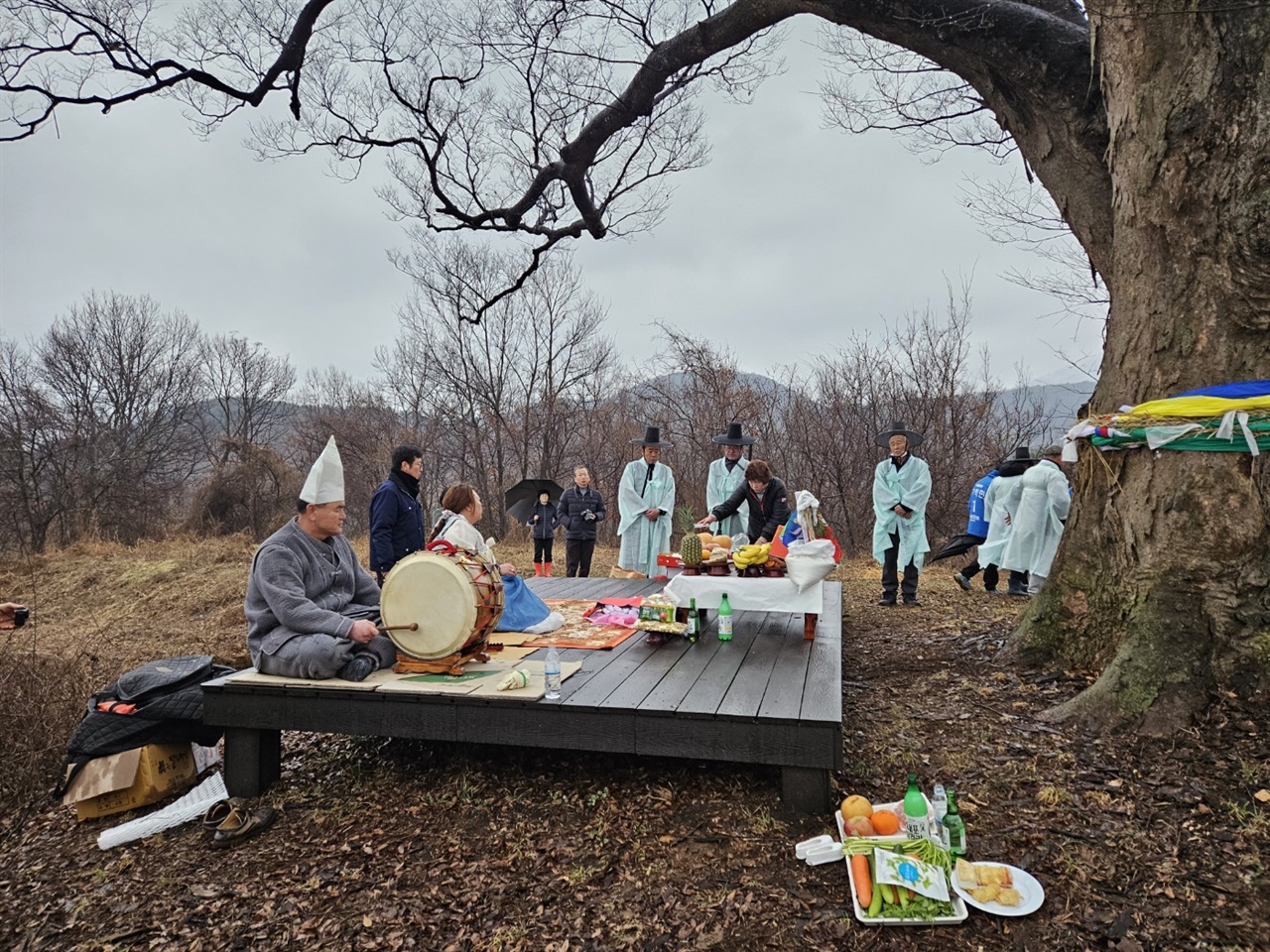  홍성군에 따르면 지난 15일 열린 당제는 마을주민 100여 명이 참석한 가운데 옹암리 영산당에서 열렸다.