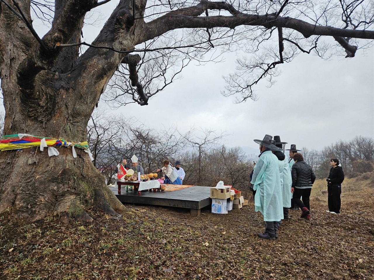  이날 당제는 박수무당이 산신전에 앉아 고사를 지내면서 당제의 시작을 알렸으며 무당과 제관 일행은 당산 신목인 느티나무 앞에서 삼배와 함께 참석자들에게 축원하는 순서로 진행됐다.