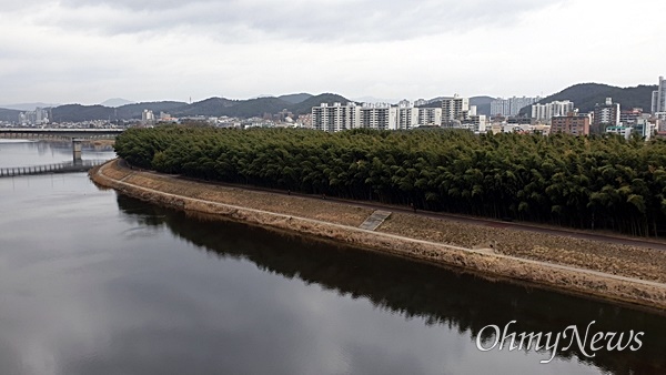  태화강 전망대에서 내려다 본 십리대숲.