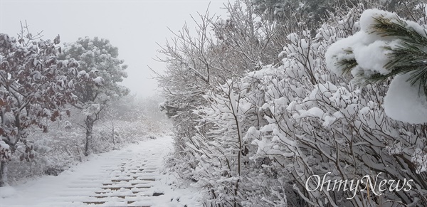  2월 25일 창원 대암산 폭설.